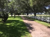 Ranch style vinyl fence made in a X configuration